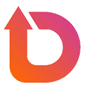 Diz